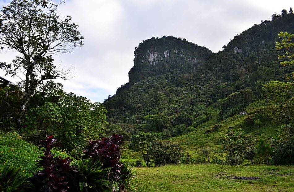 Peñas Blancas Massif, Jinotega Department, Nicaragua